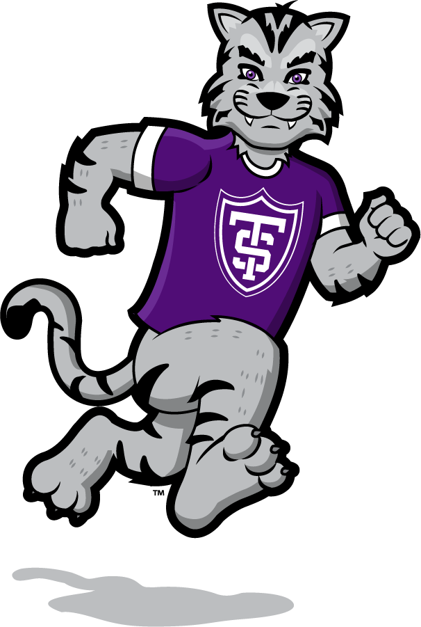 St. Thomas Tommies 2021-Pres Mascot Logo v7 t shirts iron on transfers